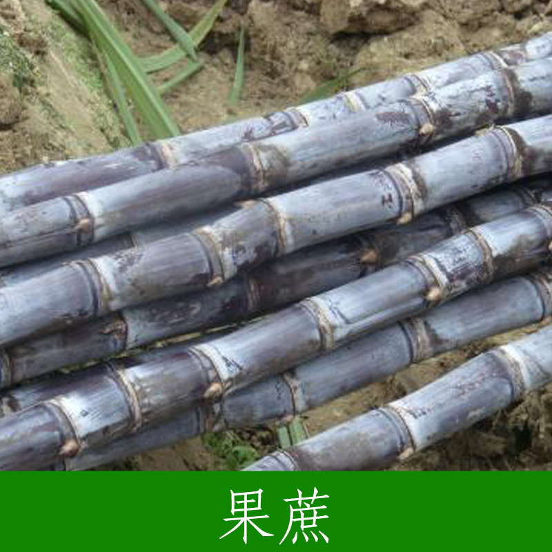 供應(yīng)黑皮甘蔗批發(fā) 純正廣西黑皮甜甘蔗批發(fā) 糖分高水分多