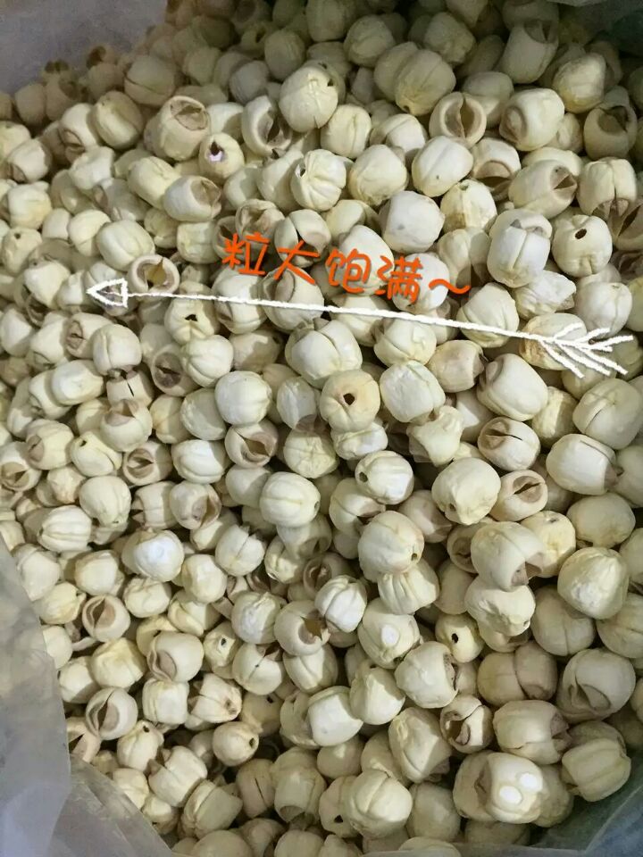 供應(yīng)用于蓮子*