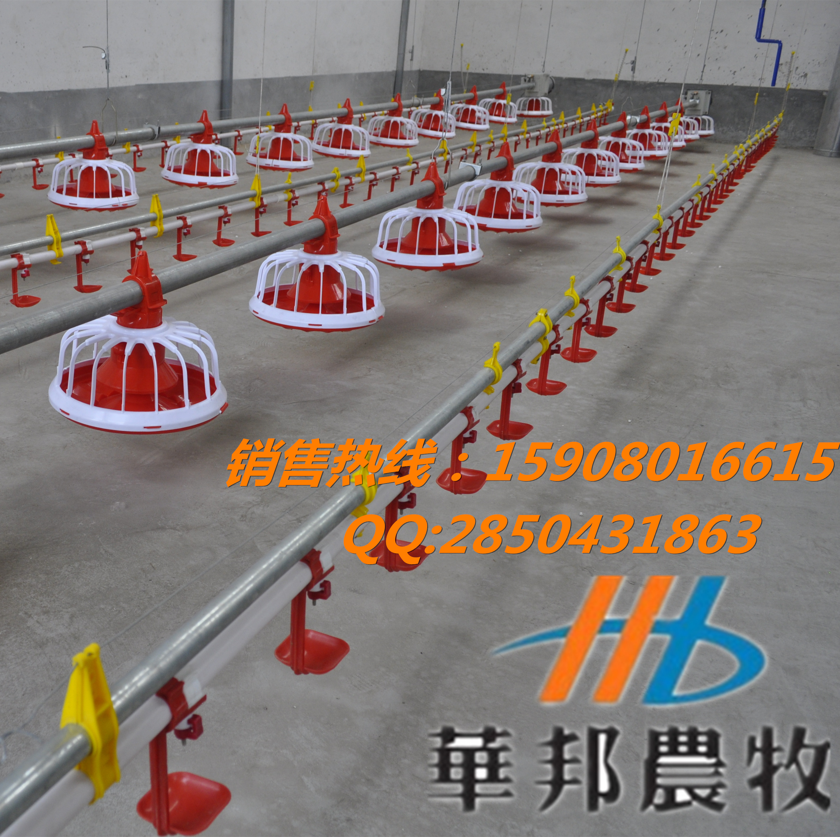 供應自動喂料機