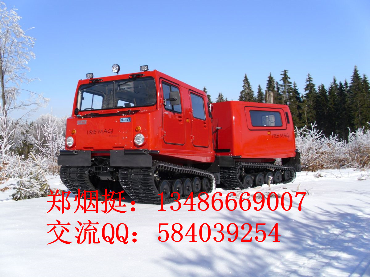 供應(yīng)雪地高速履帶車履帶式水陸兩棲車，履帶式水陸兩棲車價(jià)格