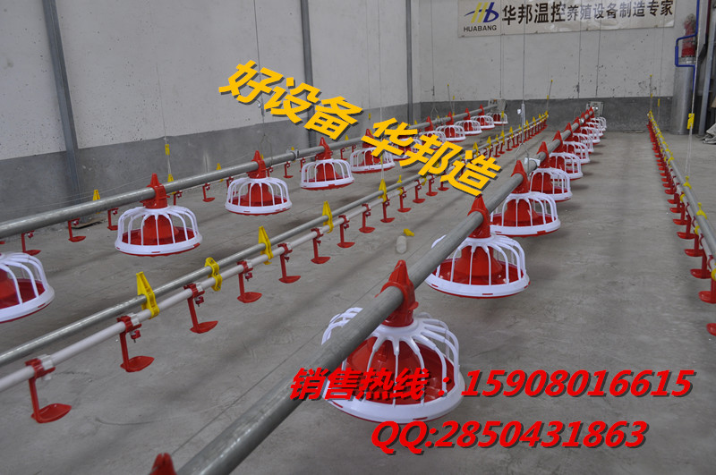 供應肉雞喂料機 養(yǎng)雞設(shè)備自動化廠家青