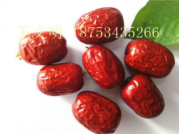 供應(yīng)新疆和田大棗批發(fā)供應(yīng)商