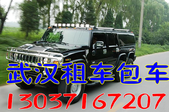 供應(yīng)漢陽(yáng)租車公司商務(wù)旅游包車，轎車商務(wù)車客車齊全