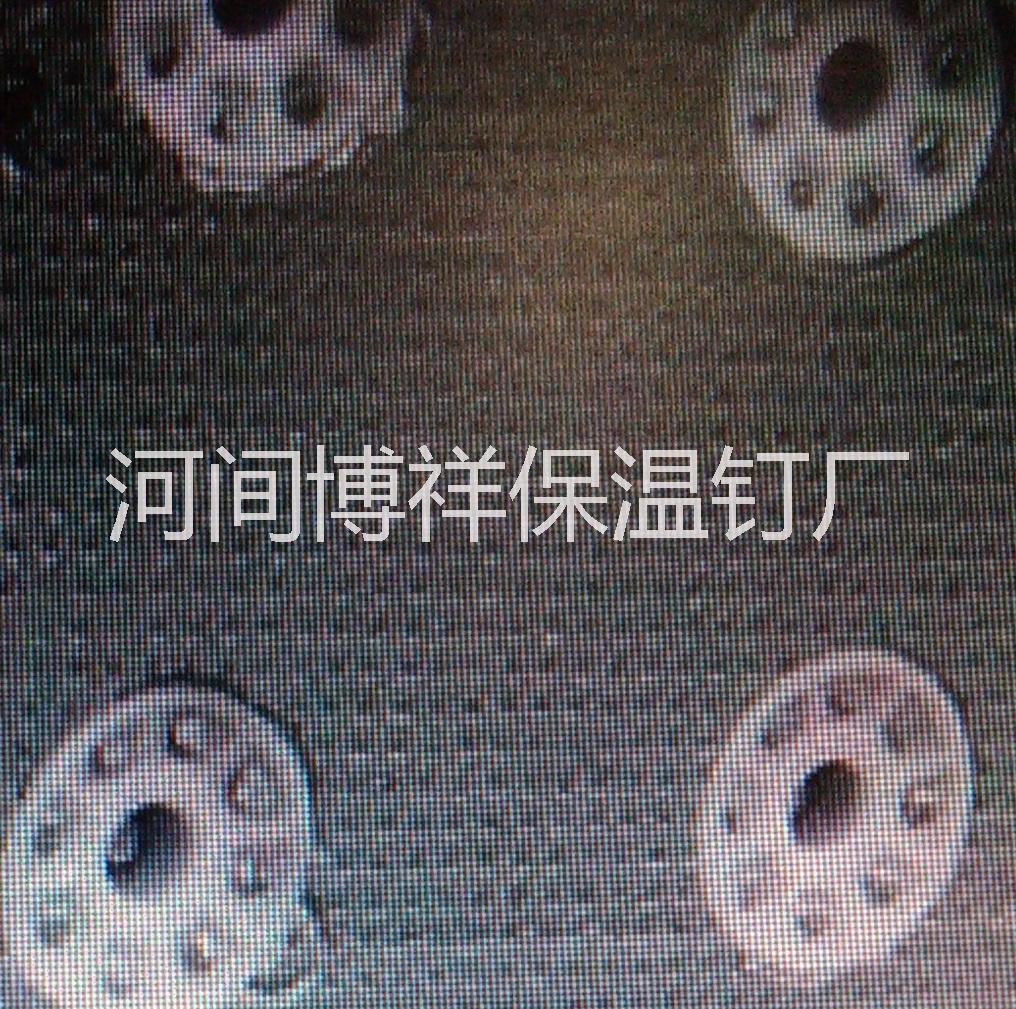 供應(yīng)外墻保溫*、*保溫釘、打入式保溫釘