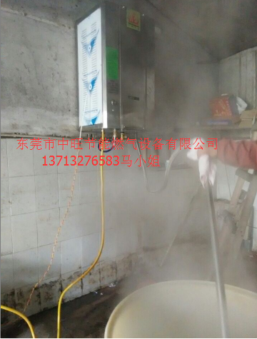 供應(yīng)節(jié)能蒸汽機(jī)蒸汽發(fā)生器用于包子饅頭