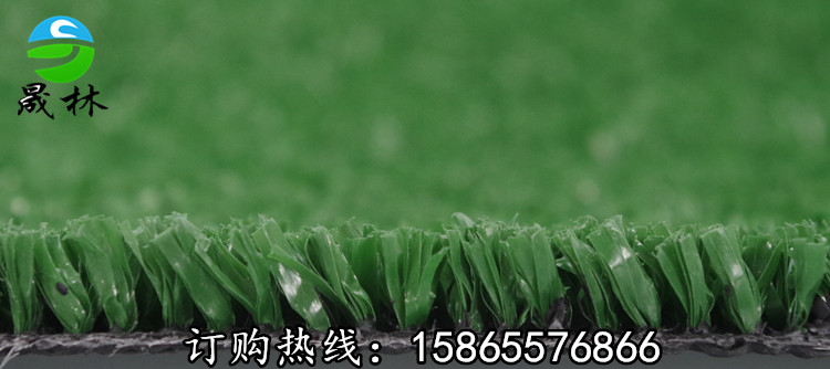 供應(yīng)晟林制造網(wǎng)球場(chǎng)*人造草坪 山東省供應(yīng)人造草皮網(wǎng)球場(chǎng)