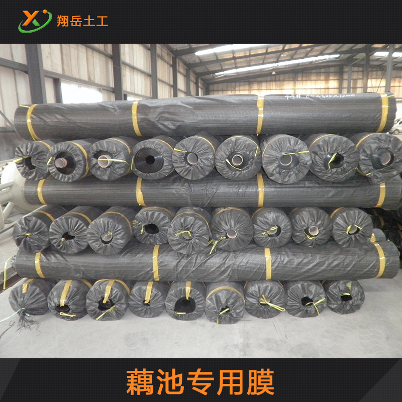 供應酒泉市藕池*膜供應商 hdpe防滲土工膜土工布蓄水池水產蓮藕魚塘蝦塘藕池*膜