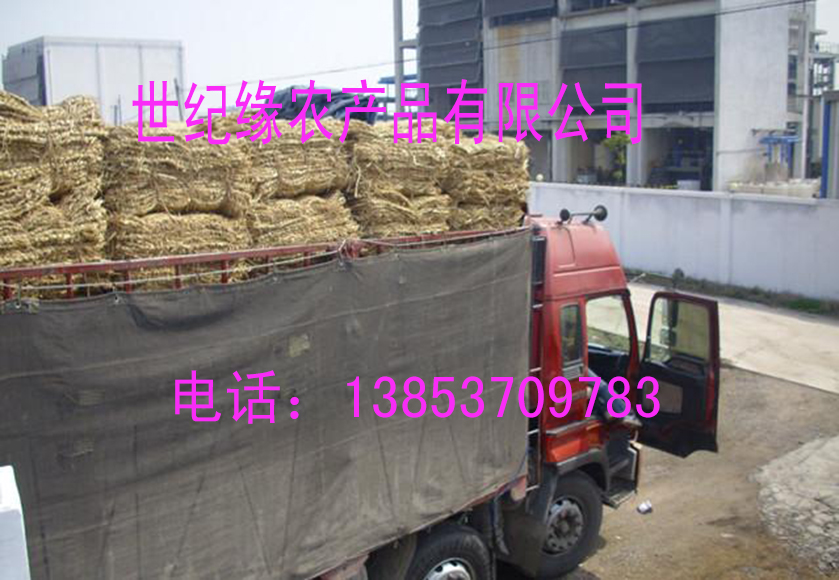 供應(yīng)南寧防汛草袋，杭州哪里有賣草袋的，無(wú)錫蘇州防滑草袋，浙江防滑草包，