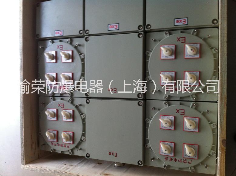 供應(yīng)重慶市九龍坡區(qū)非標(biāo)防爆配電箱定做  防爆配電箱專業(yè)設(shè)計(jì)