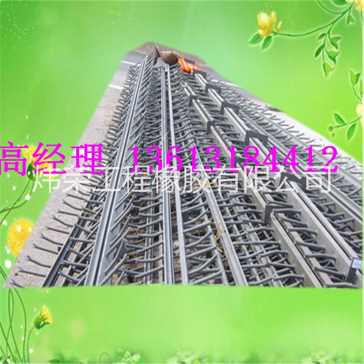 供應河南信陽橋梁伸縮縫廠家 SF梳齒板式伸縮縫