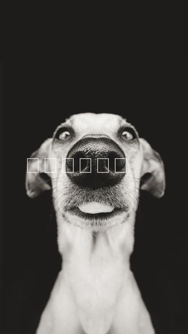 供應(yīng)用于遙控器的111-測(cè)試