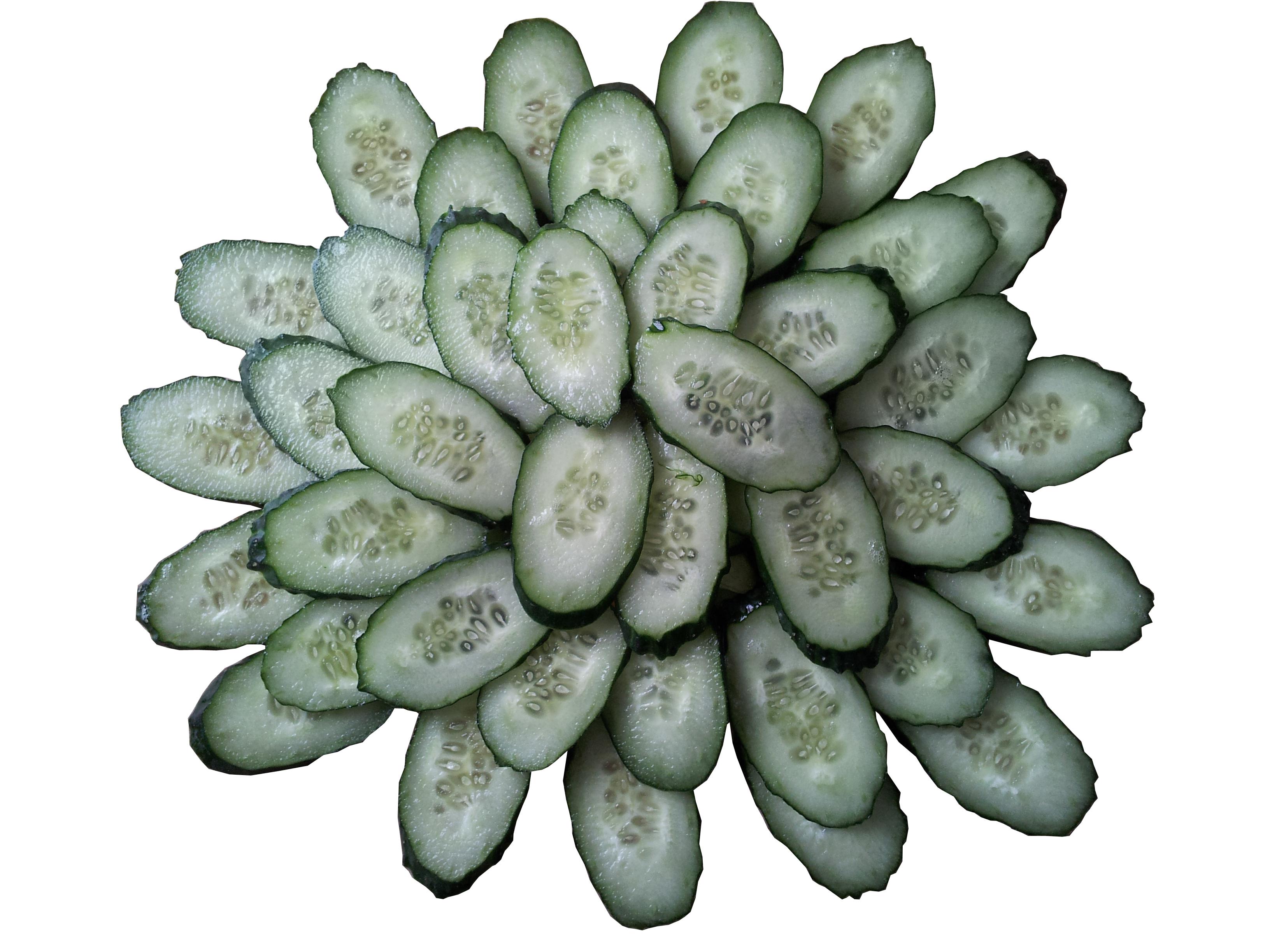 供應洗菜機多少錢節(jié)能洗菜機*洗菜機