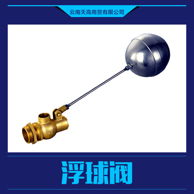 供應(yīng)浮球閥 適用性好 占地面積小  廠家批發(fā)