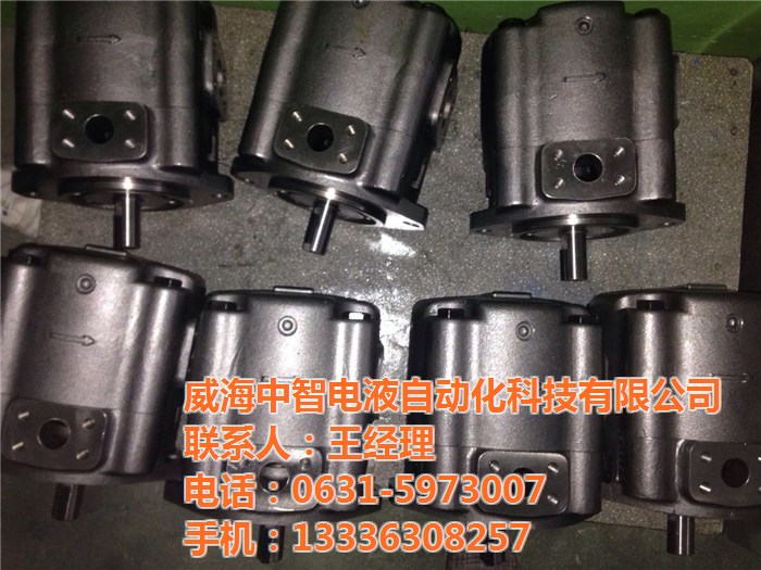 電液混合伺服泵_伺服液壓泵_液壓伺服泵_威海中智科技-液壓節(jié)能與自動(dòng)化*