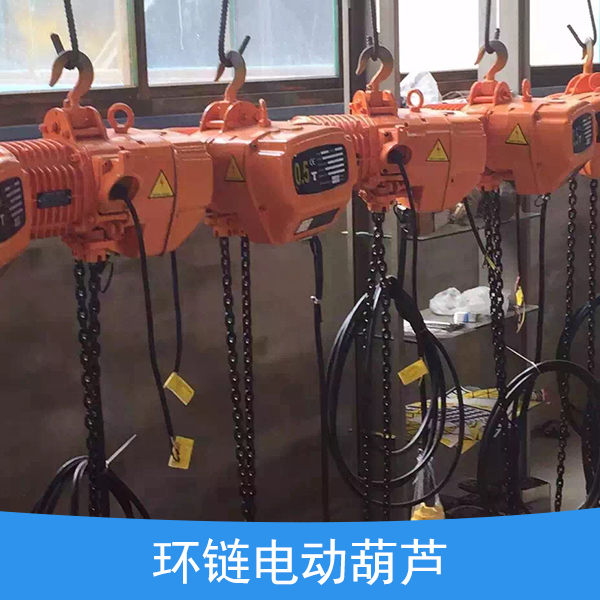 供應(yīng)環(huán)鏈電動葫蘆廠家 環(huán)鏈電動葫蘆價(jià)格 環(huán)鏈電動葫蘆批發(fā) 河北環(huán)鏈電動葫蘆生產(chǎn)廠家