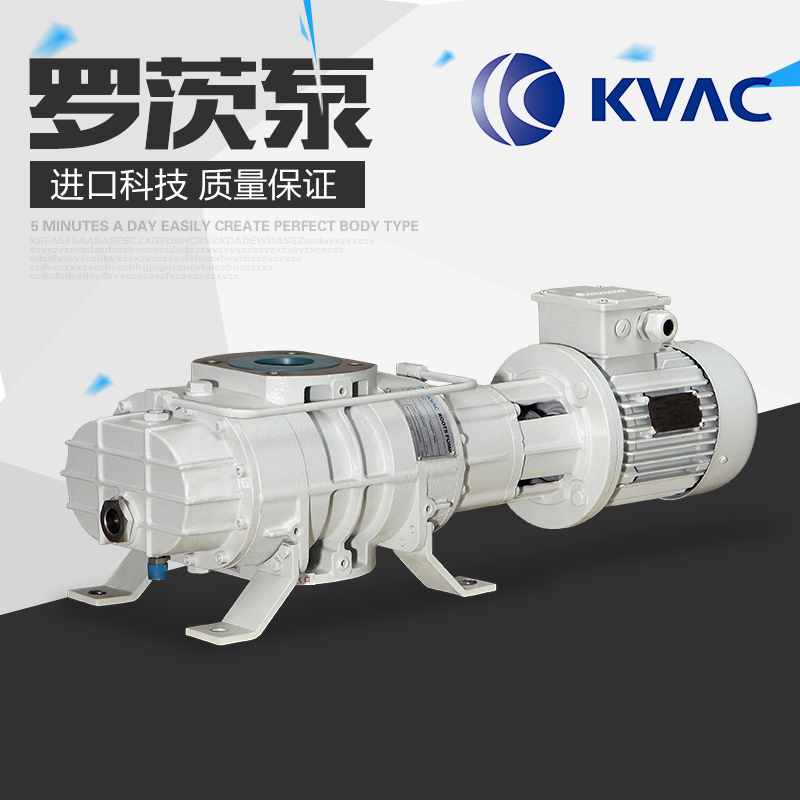 供應(yīng)凱威科羅茨泵 旋片式真空泵 進(jìn)口真空泵批發(fā)