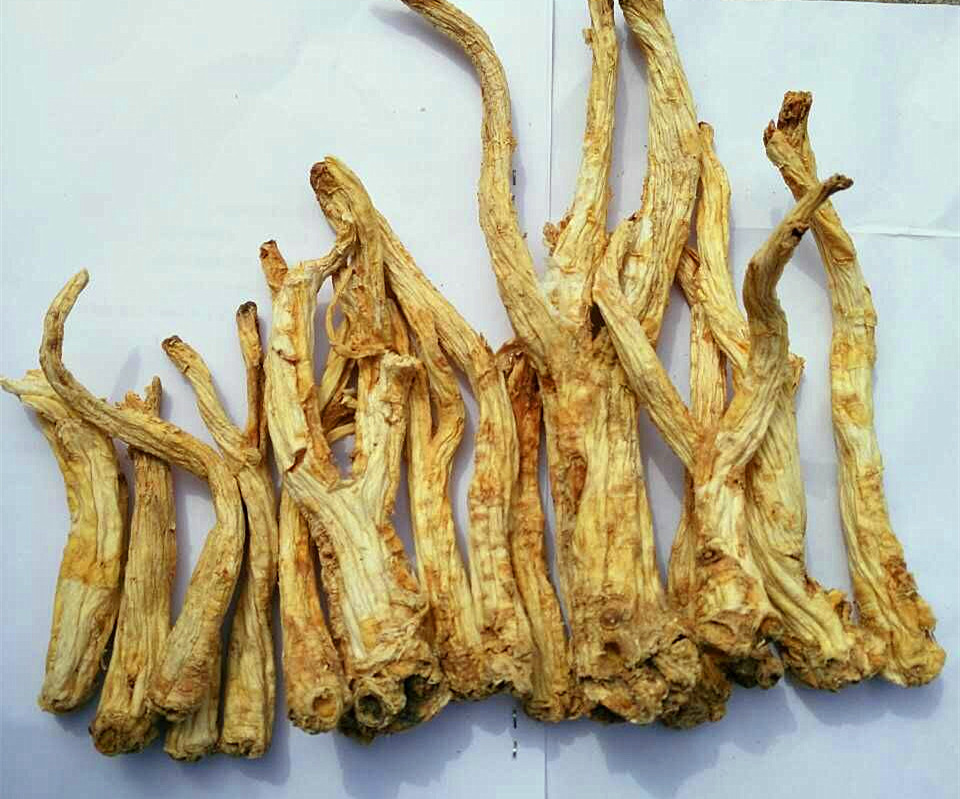 中藥桔梗 特級無硫 產(chǎn)地：內(nèi)蒙古