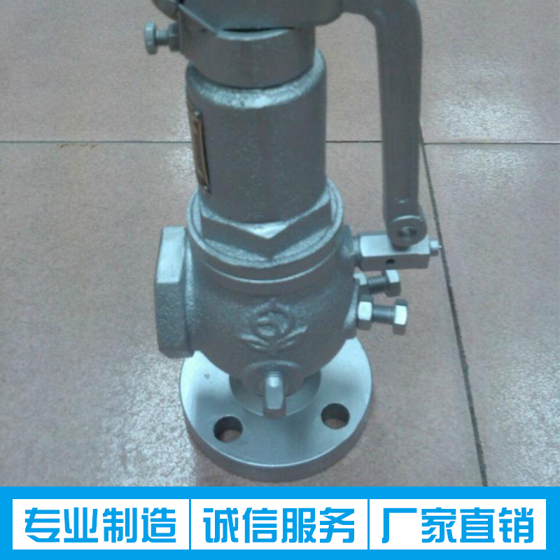 供應(yīng)不銹鋼安全閥生產(chǎn)廠家批發(fā) 衛(wèi)生級(jí)安全閥定制 高壓安全閥價(jià)格