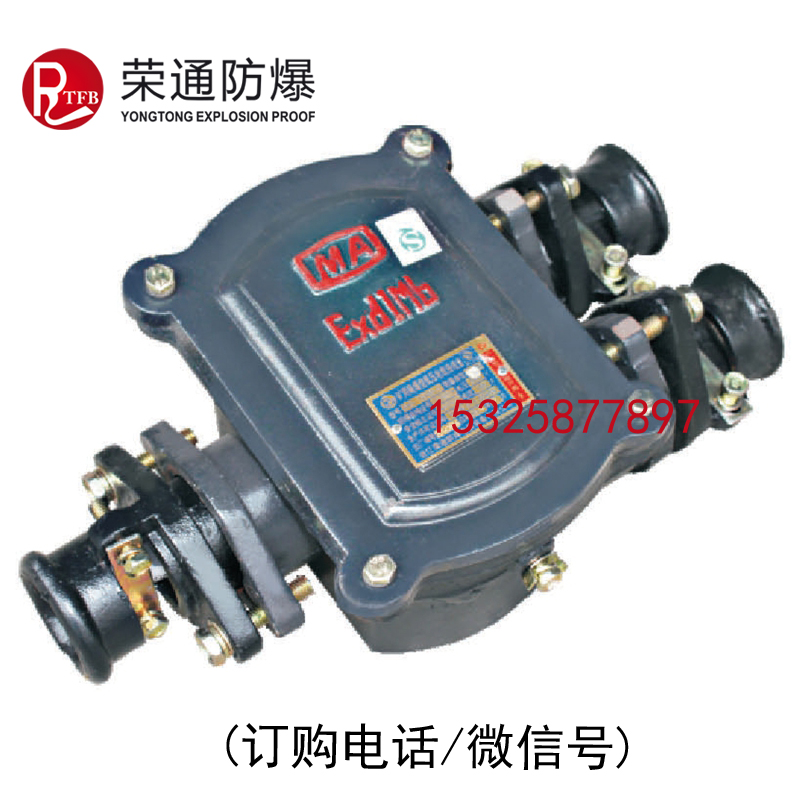 供應(yīng)榮通 BHD2-100/2T，礦用隔爆型低壓電纜接線盒，2通1140V低壓接線盒