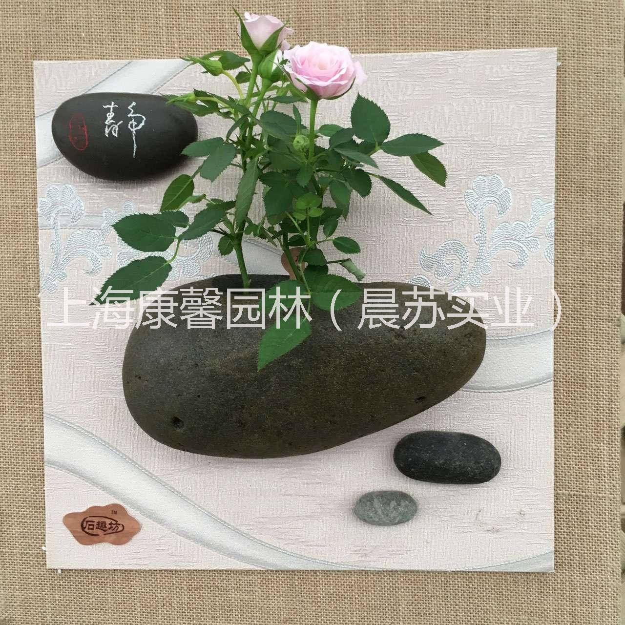 供應(yīng)壁掛式陶瓷花盆吊盆，上海壁掛式陶瓷花盆吊盆價(jià)錢，上海壁掛式陶瓷花盆吊盆報(bào)價(jià)