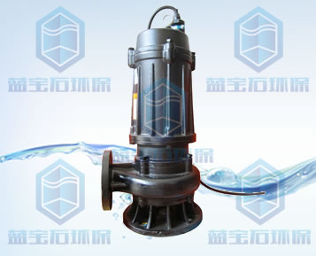 供應(yīng)WQ10-10-1潛水排污泵 防腐化工潛污泵