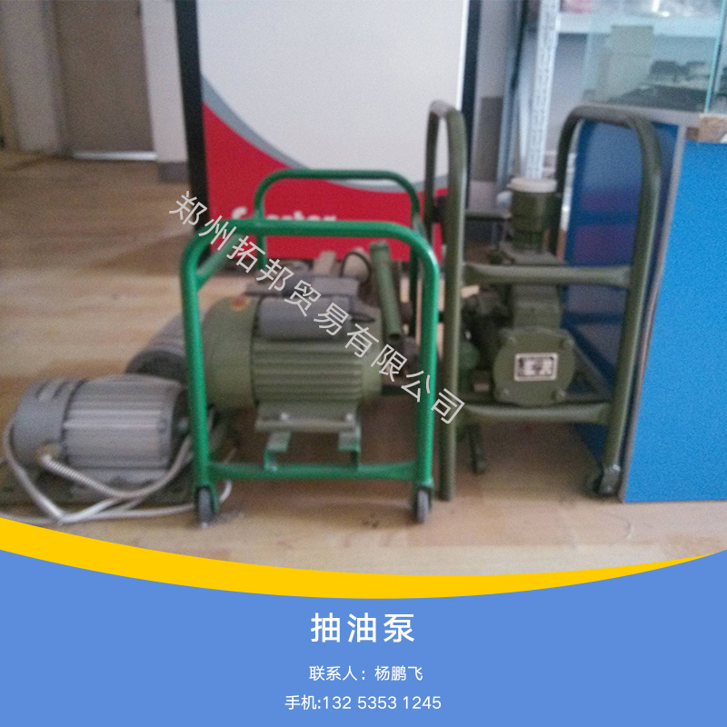 供應(yīng)工業(yè)電動抽油泵標(biāo)準(zhǔn)齒輪泵報價手動抽油泵標(biāo)準(zhǔn)抽油泵