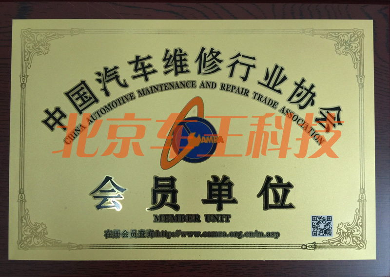 汽車養(yǎng)護(hù)品OEM Carbonking碳王 三元催化器清洗劑