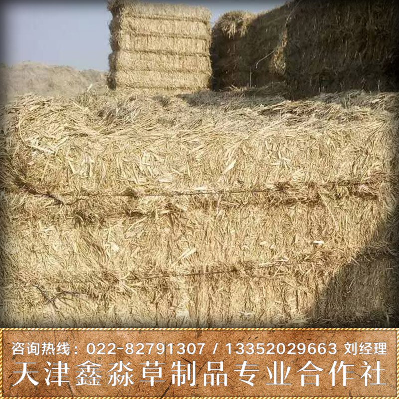 供應(yīng)草簾批發(fā)商 水果運(yùn)輸保護(hù)草簾 蔬菜運(yùn)輸保護(hù)草簾 草簾報價