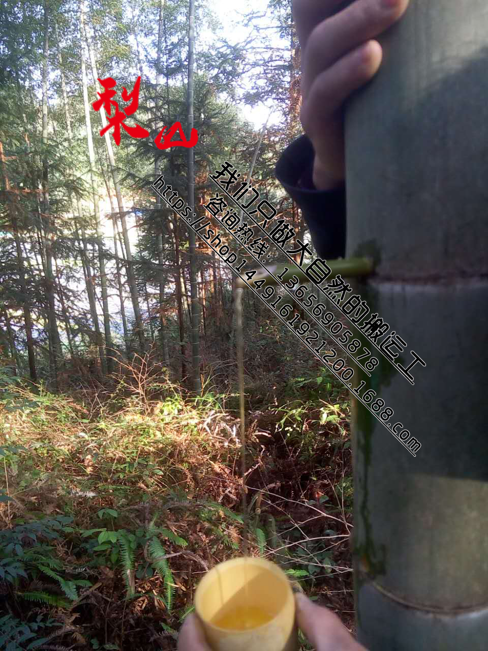 供應(yīng)甘肅活竹筒酒--蘭州金昌天水酒泉隴南竹子酒代理費(fèi)用--白銀嘉峪關(guān)竹節(jié)酒廠家招商加盟條件