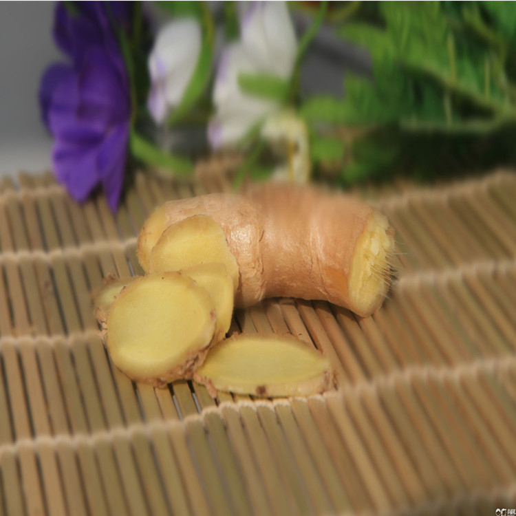 廠家現(xiàn)貨供應(yīng)生姜提取物姜辣素5% 陜西中鑫生物