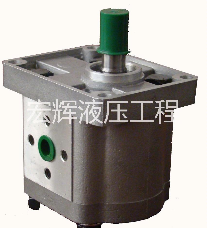 廠家直銷批發(fā)齒輪泵CBN-F306