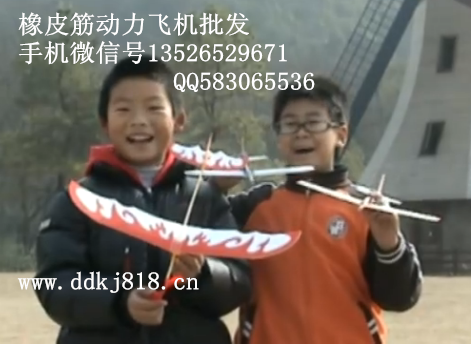 供應(yīng)超動(dòng)力滑翔飛機(jī)玩具批發(fā)