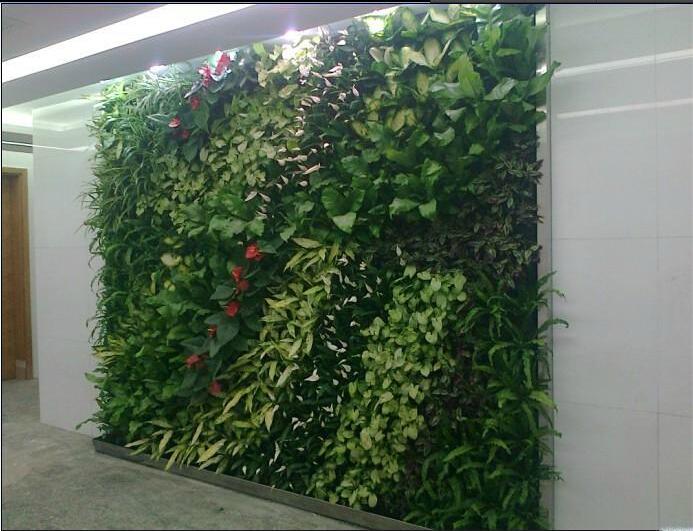 仿真綠植墻定做綠化墻定做仿真草坪綠植裝飾背景墻定做 仿真植物墻仿真綠植墻裝飾