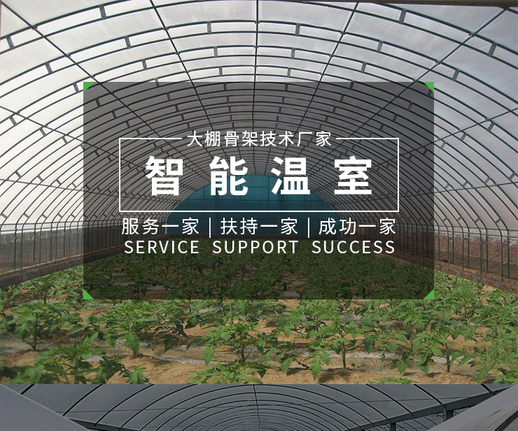 河北石家莊溫室大棚|專業(yè)溫室大棚搭建|石家莊溫室大棚安裝
