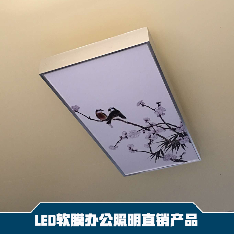 供應(yīng)LED軟膜辦公照明廠家直銷 辦公照明直銷產(chǎn)品 辦公照明產(chǎn)品 LED軟膜燈