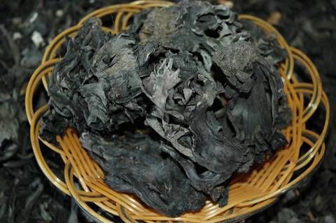 供應(yīng)干巴菌