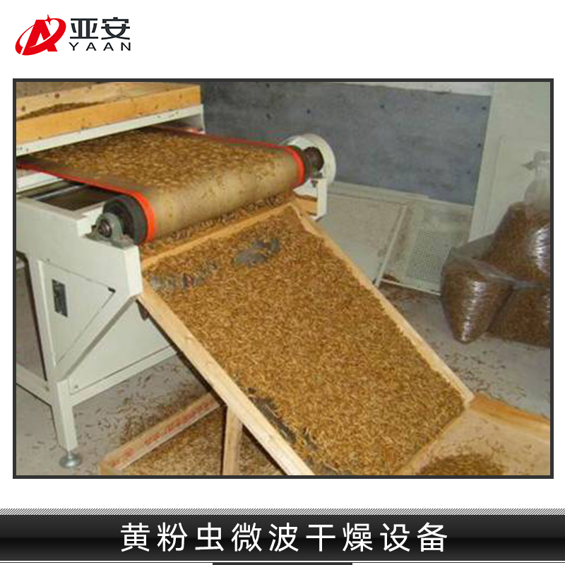 黃粉蟲微波干燥設(shè)備  黃粉蟲微波干燥設(shè)備供應(yīng)商 小型隧道式微波黃粉蟲烘干