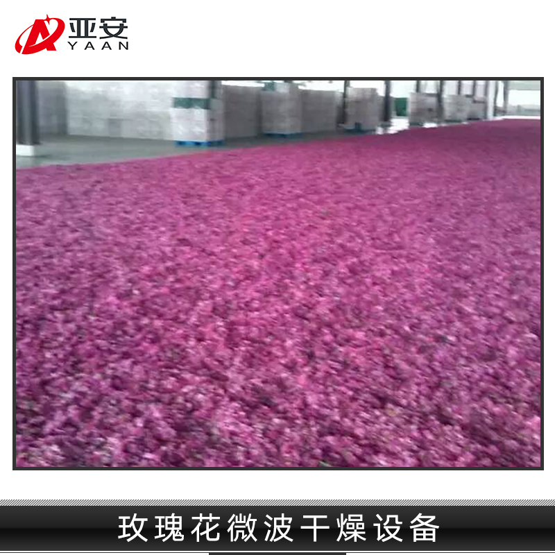 玫瑰花微波干燥設備 東北玫瑰花微波干燥設備 玫瑰花干燥設備