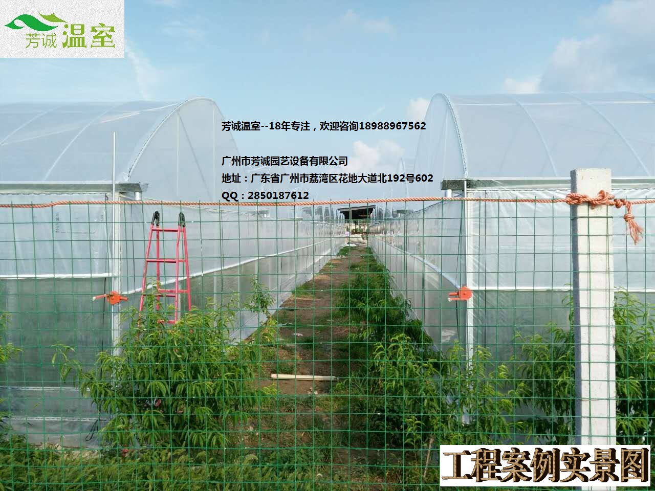 供應(yīng)廣西育苗大棚 簡(jiǎn)易大棚/溫室大棚/蔬菜大棚/育苗大棚