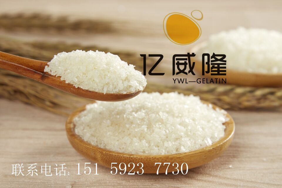 粉絲用明膠粉絲明膠涼皮用明膠涼面用明膠，肉凍肉皮凍用明膠批發(fā)