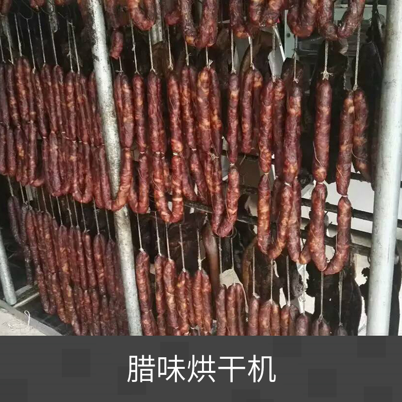 臘味烘干機 食品干燥設(shè)備 熱泵干燥機 熱循環(huán)真空臘肉烘干機