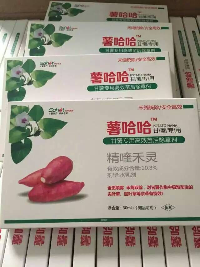 供應(yīng)紅薯*農(nóng)資 * 膨大素 紅薯** 紅薯*膨大素 甘薯膨大素
