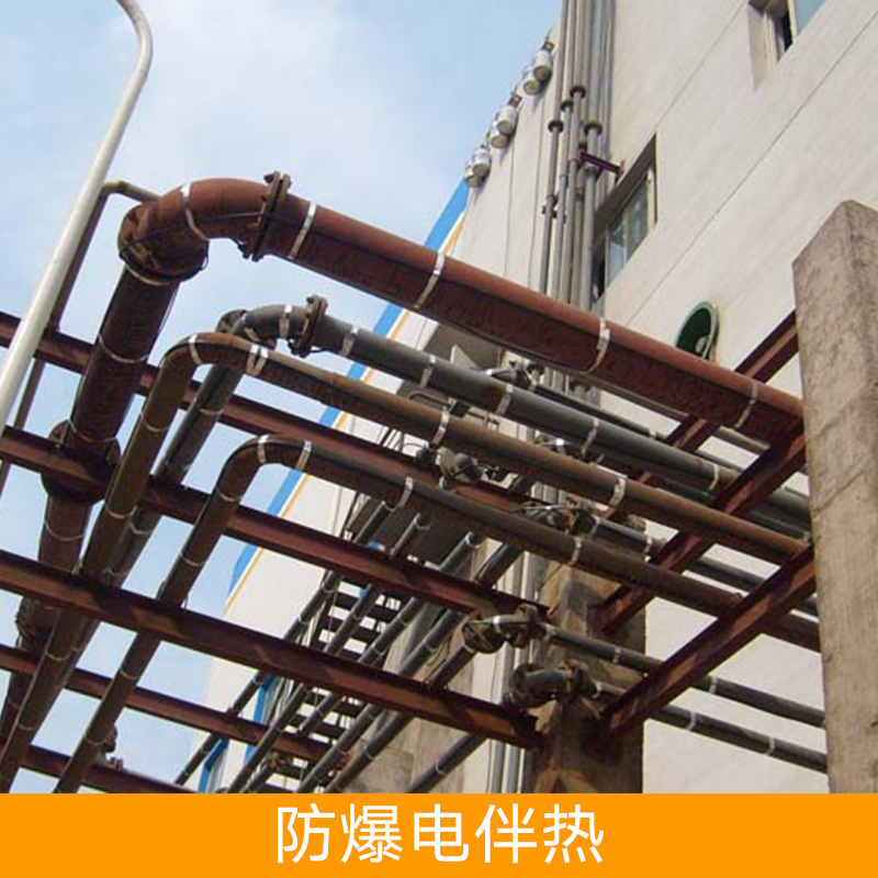 防爆電伴熱設(shè)備 防爆電伴熱 自控溫電伴熱 防腐電伴熱 加熱帶