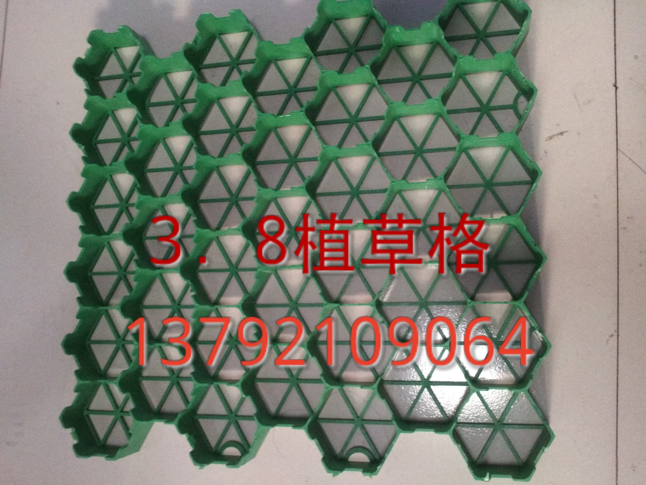 供應(yīng)土工格柵價(jià)格廣州土工格柵 植草格價(jià)格廣州土工布