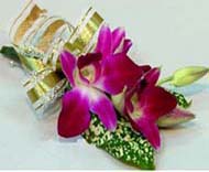 供應(yīng)北京鮮花批發(fā)北京花卉租賃綠植出租