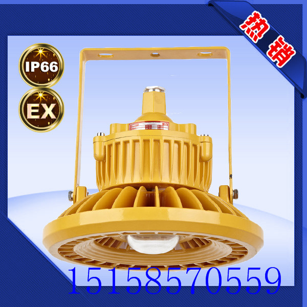 供應(yīng)  led節(jié)能防爆燈 廠家直銷 *齊全 規(guī)格齊全 節(jié)能 環(huán)