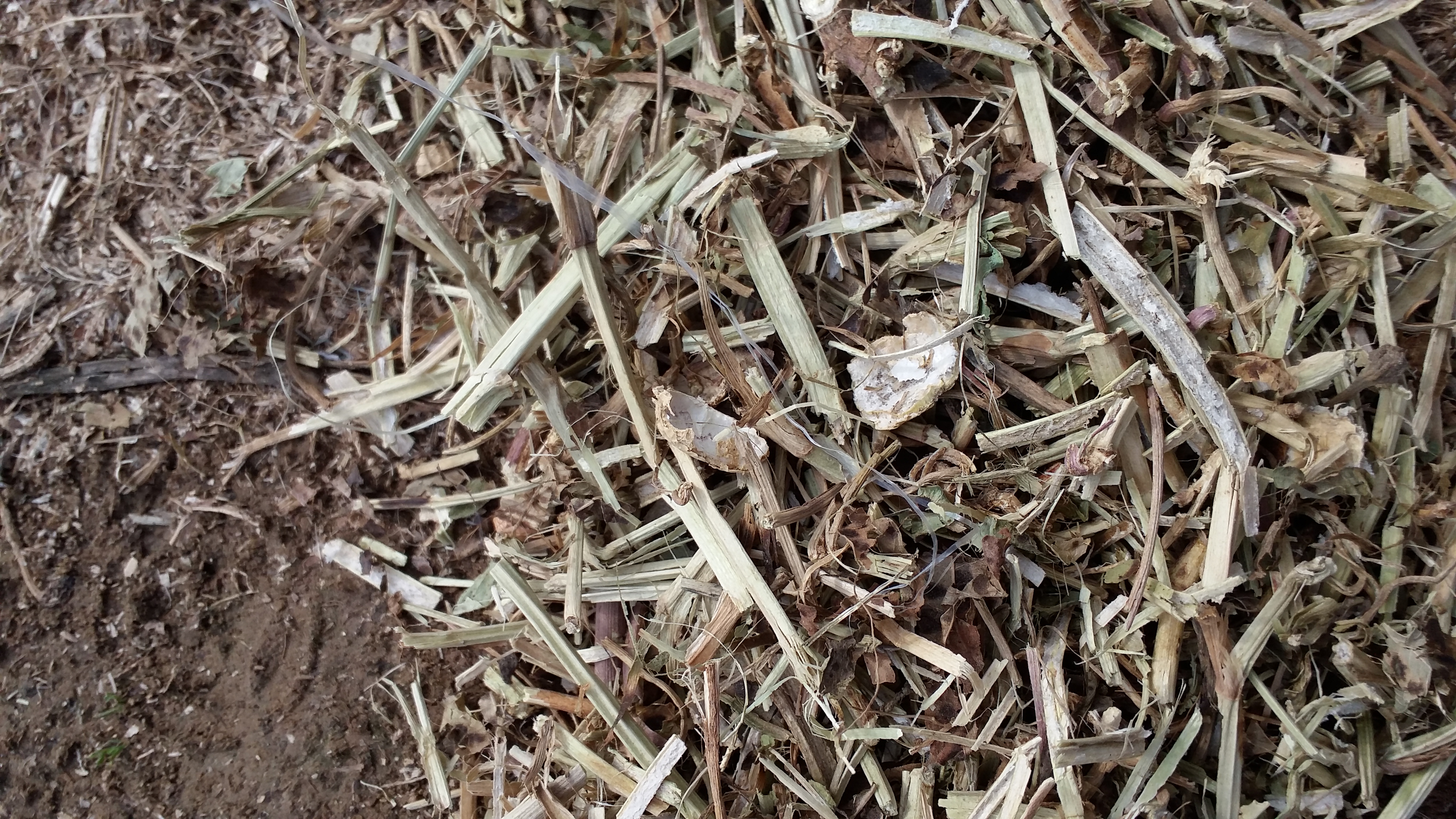 唐山花生秧批發(fā)，唐山花生秧草粉，花生秧秸稈多少錢一噸