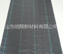 河北塑料編織土工布廠家 塑料編織土工布材質(zhì)領(lǐng)翔專業(yè)