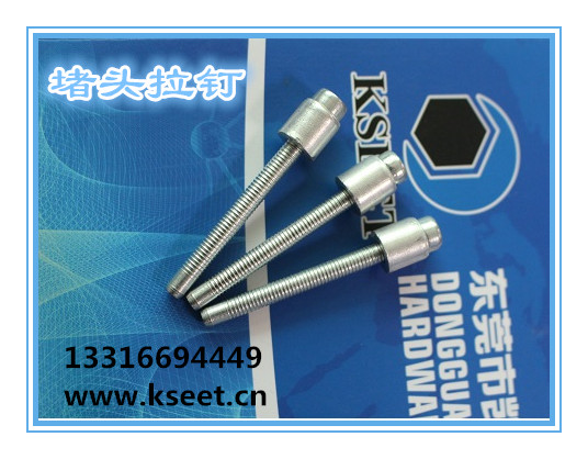 堵頭拉釘 _凱升特堵頭拉釘量大,現(xiàn)貨堵頭拉釘