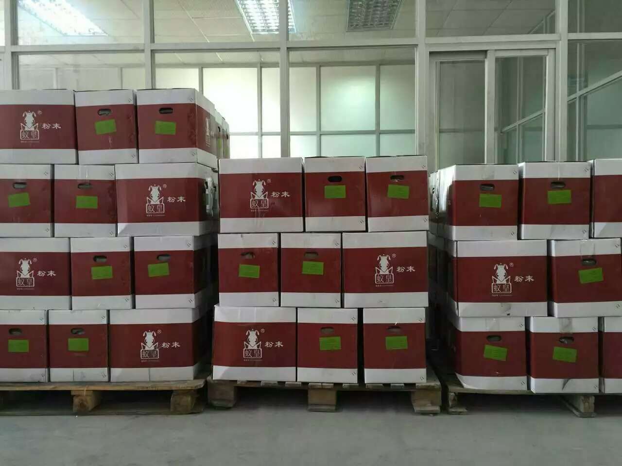 蟻皇粉末 蟻皇戶外粉末 蟻黃粉末